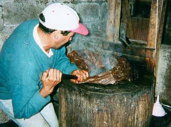 Produção azeite de louro