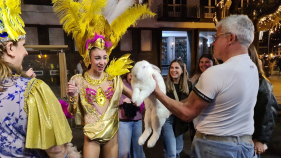 Orelhinhas: o coelho que saltou para o cora&ccedil;&atilde;o do Carnaval do Funchal (com v&iacute;deo)