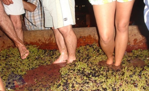 Festa das Vindimas