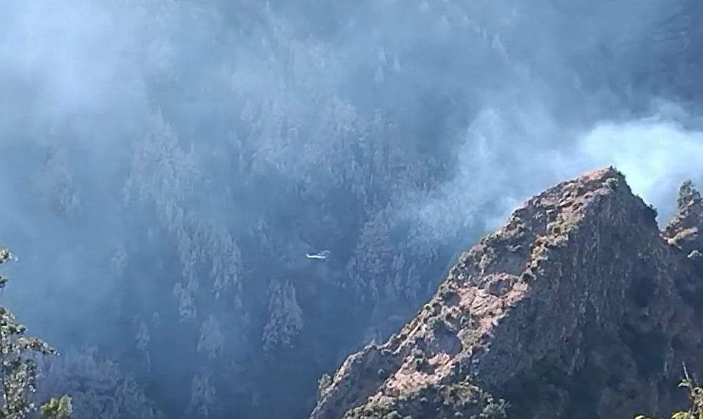 Incêndio no Curral das Freiras