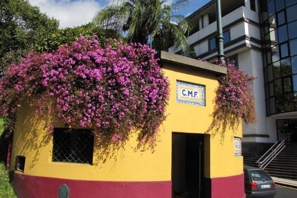 Centrad&eacute;nia