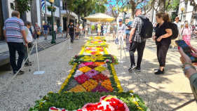 Tapetes de flores embelezam a Placa Central (v&iacute;deo)