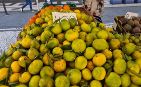 Tangerinas da Festa (com v&iacute;deo)