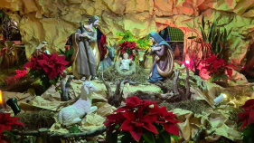 Milhares visitam Mega Pres&eacute;pio do Curral das Freiras. Veja o v&iacute;deo.