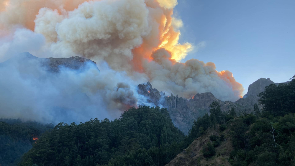 Fogo impressiona no Curral das Freiras (com vídeo)