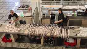 Peixe-Espada Preto no Mercado dos Lavradores. Espreite o v&iacute;deo.