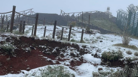 Queda de neve nas previs&otilde;es para hoje