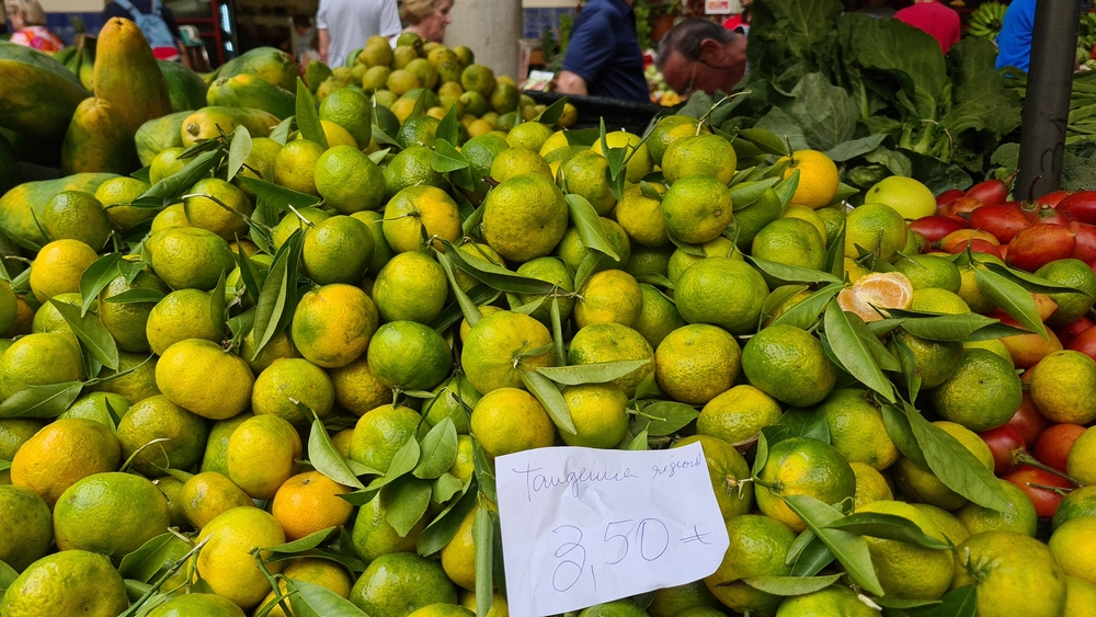 "Tangerinas da Festa" já estão a ser vendidas. Espreite o vídeo.