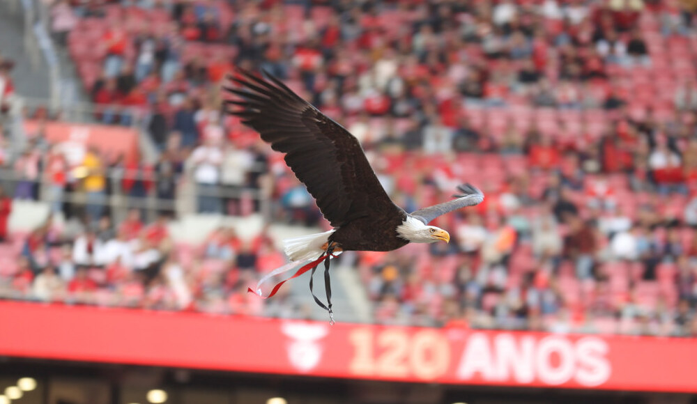 Roger Schmidt despedido do Benfica