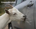 Imagem de simulação