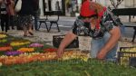 Tapetes de Flores
