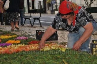 Tapetes de Flores